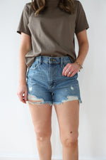 Load image into Gallery viewer, Skye High Rise Fray Denim Shorts
