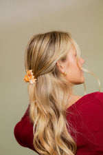 Load image into Gallery viewer, Pumpkin Pie Mini Claw Clip

